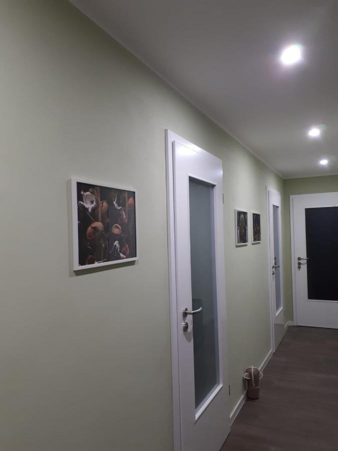 Tannenberg Ferienwohnung Rotbuche מראה חיצוני תמונה